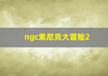 ngc索尼克大冒险2