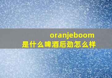 oranjeboom是什么啤酒后劲怎么样