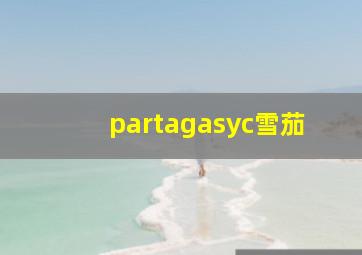 partagasyc雪茄