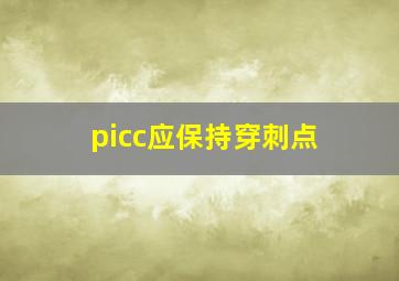 picc应保持穿刺点