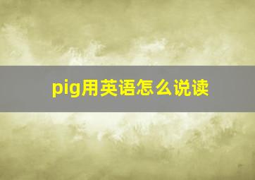 pig用英语怎么说读