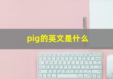 pig的英文是什么