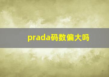 prada码数偏大吗