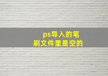 ps导入的笔刷文件里是空的