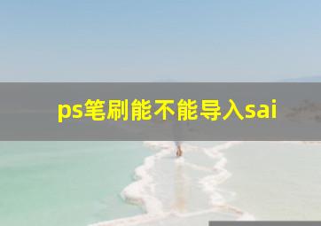 ps笔刷能不能导入sai