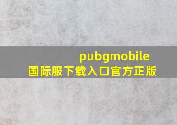 pubgmobile国际服下载入口官方正版