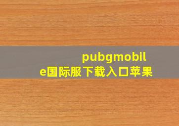 pubgmobile国际服下载入口苹果