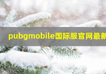 pubgmobile国际服官网最新版