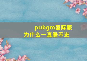 pubgm国际服为什么一直登不进