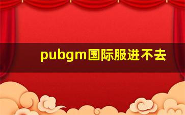 pubgm国际服进不去