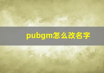 pubgm怎么改名字