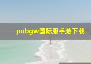 pubgw国际服手游下载