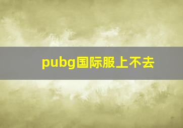 pubg国际服上不去