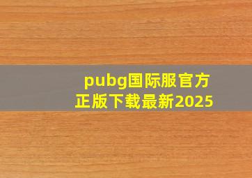 pubg国际服官方正版下载最新2025