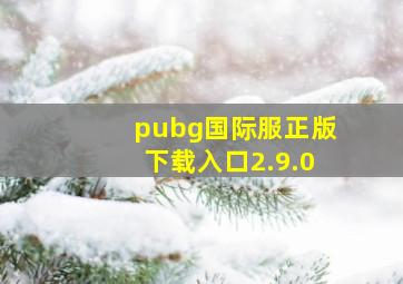 pubg国际服正版下载入口2.9.0