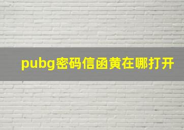 pubg密码信函黄在哪打开