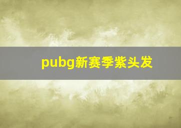 pubg新赛季紫头发