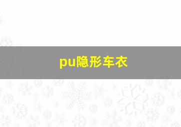 pu隐形车衣