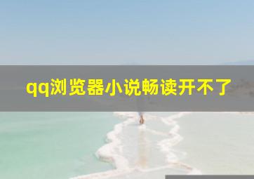 qq浏览器小说畅读开不了