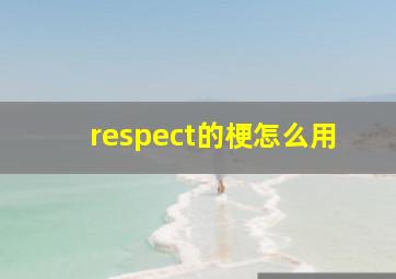 respect的梗怎么用