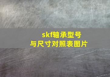 skf轴承型号与尺寸对照表图片