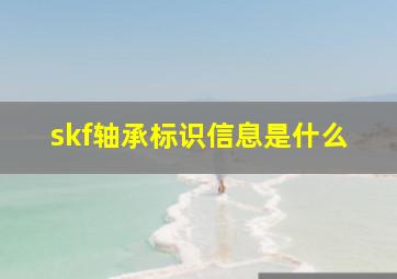 skf轴承标识信息是什么