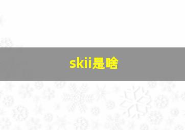 skii是啥