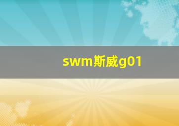 swm斯威g01