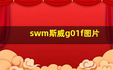 swm斯威g01f图片