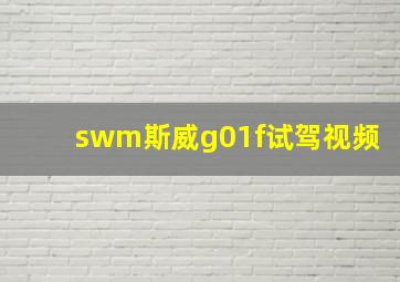 swm斯威g01f试驾视频