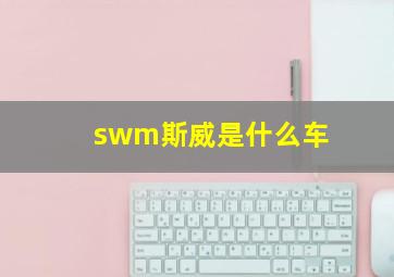 swm斯威是什么车