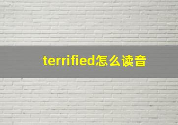 terrified怎么读音