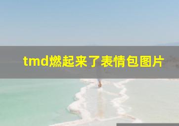 tmd燃起来了表情包图片