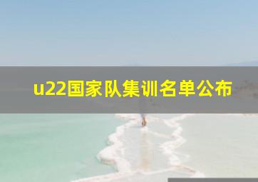 u22国家队集训名单公布