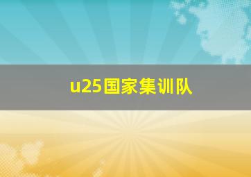 u25国家集训队