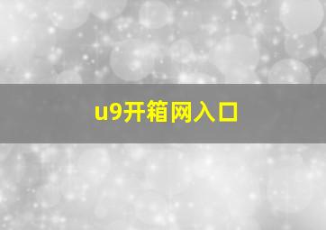 u9开箱网入口