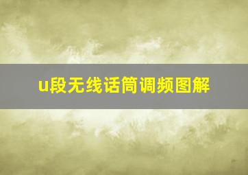 u段无线话筒调频图解