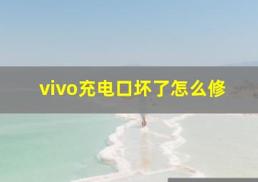 vivo充电口坏了怎么修