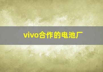 vivo合作的电池厂