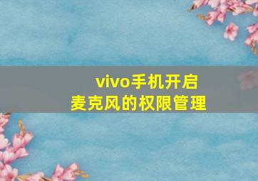 vivo手机开启麦克风的权限管理