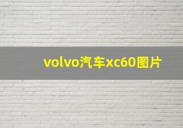 volvo汽车xc60图片