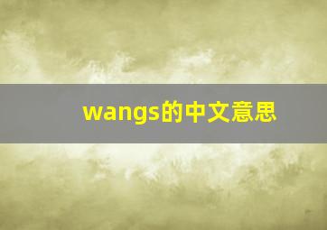 wangs的中文意思