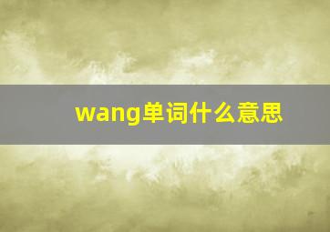 wang单词什么意思