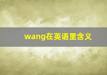 wang在英语里含义