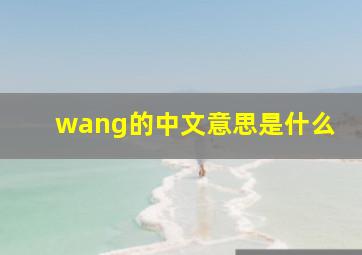 wang的中文意思是什么