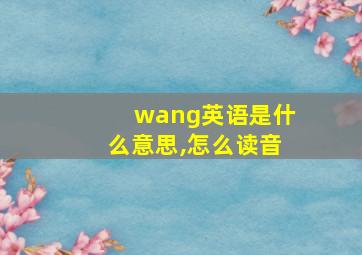 wang英语是什么意思,怎么读音