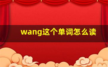 wang这个单词怎么读