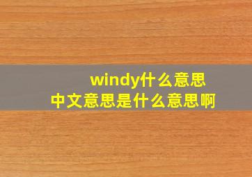 windy什么意思中文意思是什么意思啊