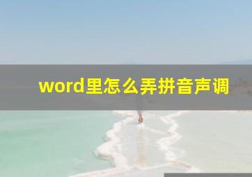 word里怎么弄拼音声调