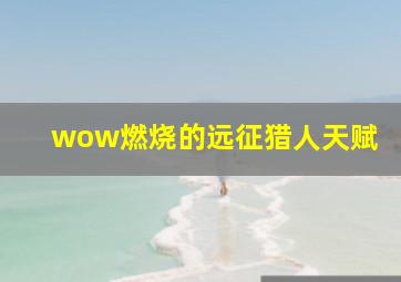 wow燃烧的远征猎人天赋